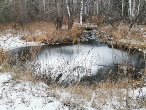 Окрестности реки Полудёнка в Малышевском городском округе