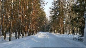 Дорога в сторону полей поселок Малышева