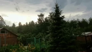 Поселок Малышева