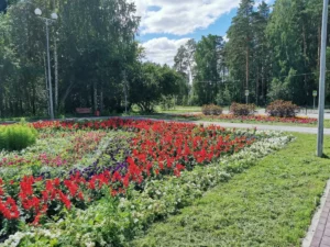 Поселок Рефтинский. Центр.