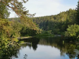 Река Пышма рядом с п. Белокаменный
