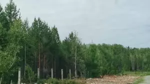 Движуха у складов ВВ, рядом с п. Малышева