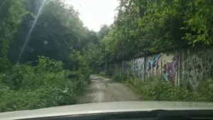 Не перевелись ещё художники на Руси, тем более в Асбесте